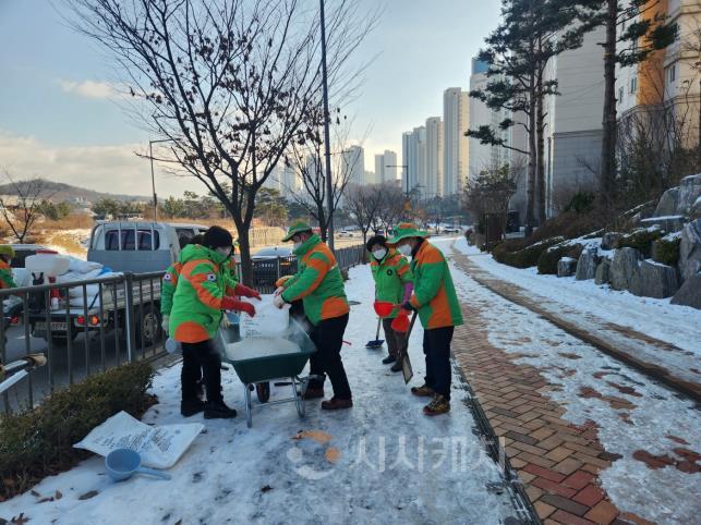 방재단긴급제설(고운동)_1.jpg