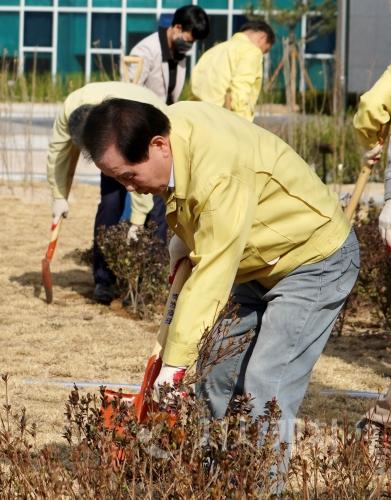 f_(사진1) 진로융합교육원 앞에서 나무를 심고 있는 김지철 교육감.jpg