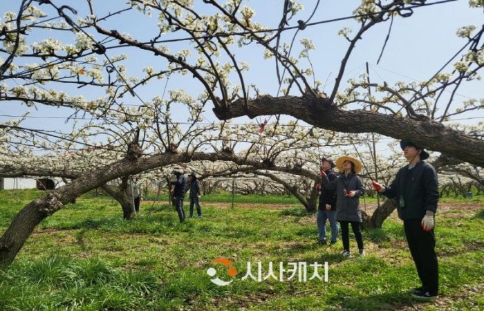 [크기변환]사본 -4. 아산시 공무원 배 화정 봉사장면(농정과).jpg