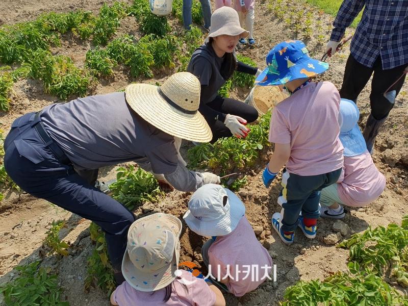 f_복용동 공영도시농업농장, 텃밭농장 체험행사 개최01.jpg