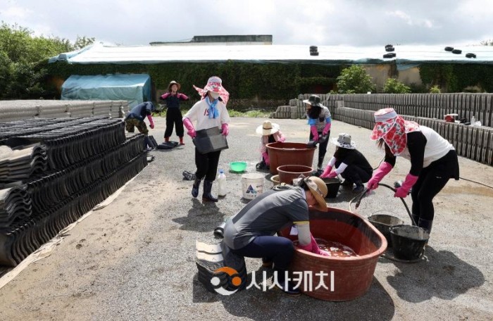 [크기변환]230726_충남도의회 수해지역 피해 복구 지원 (부여, 기와세척작업 지원) (3).jpg
