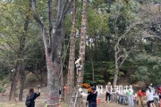 [크기변환][크기변환]사본 -1. ‘아트밸리 아산 제1회 산림문화축제’ 성황리 종료 (1).jpg