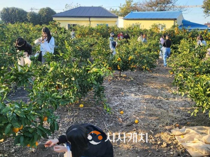 f_세종시교육청, ‘2023년 제주 역사·생태 체험 공동 캠프’ 실시1.jpg