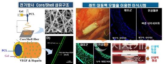 [크기변환]사진1.jpg