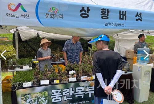 [크기변환][포맷변환]사본 -[사진자료] 충남문화누리카드, 모셔오는 문화서비스로 더욱 특별했던 ‘서산 6쪽마늘축제’.jpg