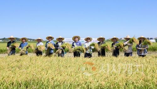 [크기변환]사본 -2. 박경귀 시장, ‘달맑은벼’ 첫 수확 현장 방문... "대풍 축하” (3).jpg