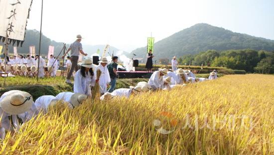 [크기변환]사본 -1. 아산시, 아트밸리 아산 제3회 에코 농(農) 페스티벌 전통 벼베기 행사 성황리 마쳐 (4).jpg