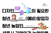 f_상반기 세종시 디자인 지원사업 모집공고 포스터(정책기획관).jpg