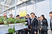 f_여름딸기 생산 스마트팜 (2).jpeg