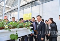 f_여름딸기 생산 스마트팜 (2).jpeg