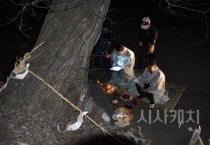 '세종 등곡리동제' 세종시 무형유산으로 지정