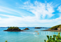 충남도, 갯벌생태계 복원사업 ‘국가계획 반영’ 도전