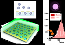 호서대 황영규 교수, 차세대 바이러스 감지 센서 개발