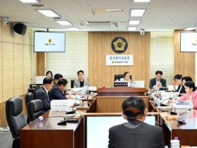 f_세종시의회 행정복지위원회, 2024회계연도 결산 심사 마무리 (1).jpg