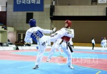 천안시, 충남도민체전 4년연속 종합 우승