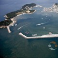 바닷속 보물창고 태안 신진도, 한국섬진흥원 이달의 섬