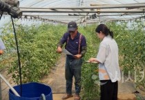 대전시농기센터, 폭염 대응 총력