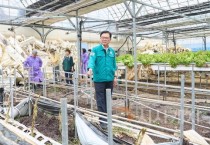 김석필 천안시장 권한대행, 풍세면 침수피해 현장점검