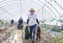 김석필 천안시장 권한대행, 수신면 침수피해 복구 나섰다