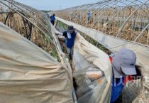 충남경제진흥원, 특별재난지역 예산 농가 수해 피해 복구 나서!