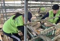 대전시, 충남 당진 수해피해지역 봉사 참여