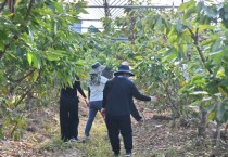 충남도 대변인실 침수피해 농가 복구 힘 보태