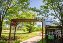 무궁화 만개한 8월은 '대전의 나라꽃 명소’로