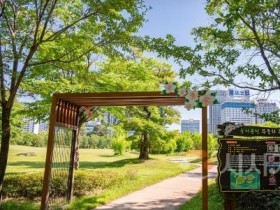 f_4. 무궁화 만개한 8월, 대전의‘나라꽃 명소’로 떠나 보세요 - 무궁화군락(정부대전청사 들의공원).jpg