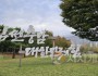 충남도500.jpg