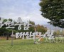 충남도500.jpg