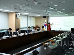 f_조례 입법평가 연구용역 최종보고회 (5).jpg