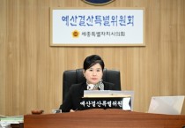 세종시의회 예산결산특별위원회, 세종시 제2회 추경예산안 심사