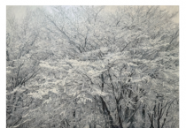 충남문화관광재단 CN갤러리, 이만우 작가 ‘풍경 너머, 거듭된 붓질을 따라’ 개인전