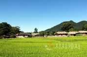 [크기변환]1. [기획] 아산 외암마을, 짚과 돌로 이어온 전통건축기술 ‘무형유산’ 길 연다 (5).jpg