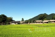 [크기변환]1. [기획] 아산 외암마을, 짚과 돌로 이어온 전통건축기술 ‘무형유산’ 길 연다 (5).jpg