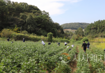 f_농번기 일손 돕기 (1).png