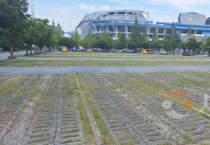 대전시, 월드컵경기장 주차요금 완화