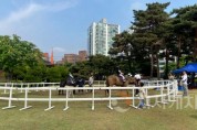 [포맷변환][크기변환]승마체험(동물정책과).jpg