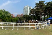 [포맷변환][크기변환]승마체험(동물정책과).jpg