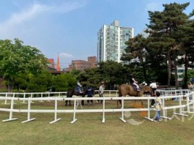 [포맷변환][크기변환]승마체험(동물정책과).jpg