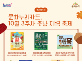 [크기변환][사진자료]10월3주차 축제 안내 포스터 1식.png
