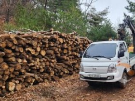 f_사랑의 땔감 나눔을 위해 부산물을 싣고 있는 모습(산림자원과).jpg f_사랑의 땔감 나눔을 위해 부산물을 싣고 있는 모습(산림자원과).jpg