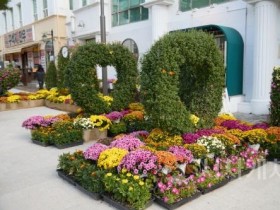 [크기변환]2. 아산시, 2025 국화 전시회 개막...국화 향기 속 가을축제의 문 열어 (1).jpg