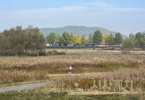 ‘가을의 도시’ 아산서 은빛 억새·황금 단풍 즐겨요