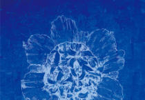 CN갤러리, <허강 개인전 ‘思惟의 정원-자연스로부터’> 개최