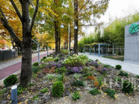 f_2. 대전시청 북문 광장 시민애뜰로 돌아왔다1.png