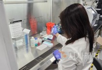 세종시 구제역 백신 항체 양성률 '우수'