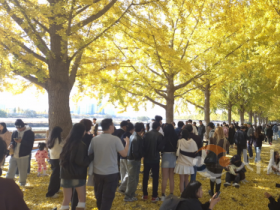 f_7. 아산 곡교천 은행나무길 ‘황금빛 가을 정취 절정’ (1).png