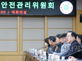 f_3. 대전시&quot;대규모 불꽃축제 시민 안전 최우선”1.png