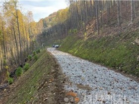 [크기변환]1. 아산시, 2025년 임도시설 우수사례 전국 평가 ‘우수상’ 수상.JPG